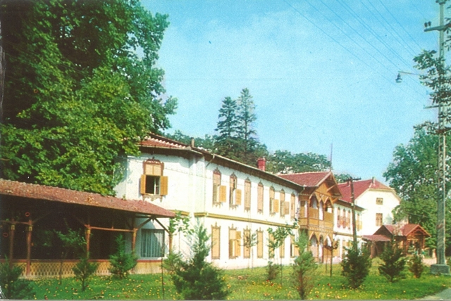 2062-1 - Vedere din Buziaș